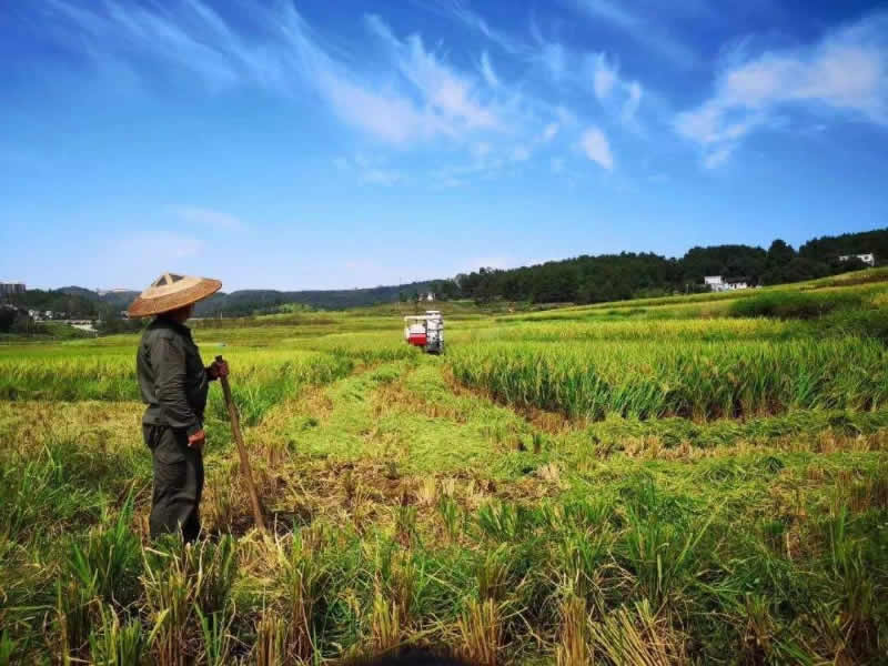 農業種植